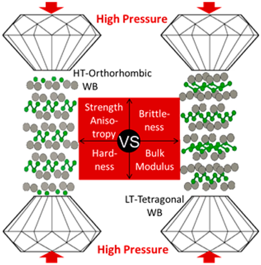Understanding How Bonding Controls Strength Anisotropy in Hard Materials by Comparing the High-Pressure Behavior of Orthorhombic and Tetragonal Tungsten Monoboride
