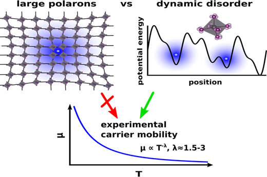 The Significance of Polarons and Dynamic Disorder in Halide Perovskites