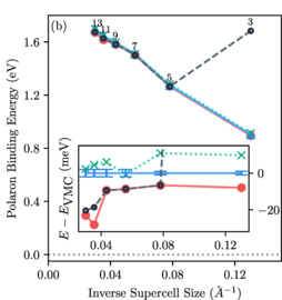 Ab initio polaron wave functions