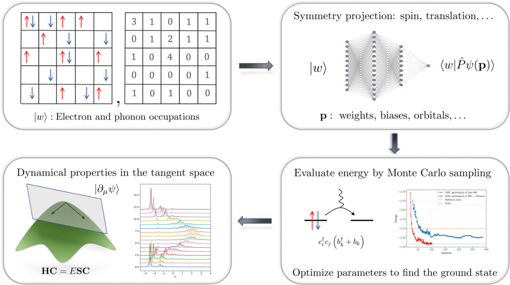 Structure and dynamics of electron-phonon coupled systems using neural quantum states